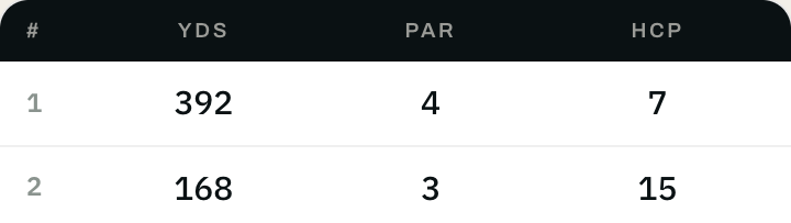 A course card being entered: hole number, yardage, par and stroke index in a table.